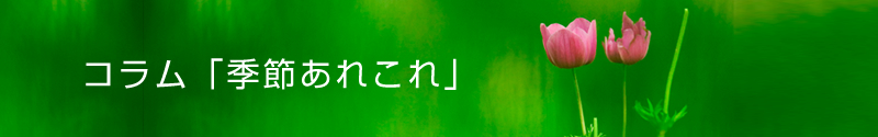 季節あれこれ
