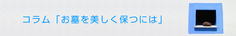 お墓を美しく保つには